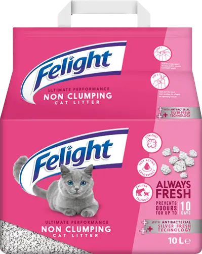 cat litter